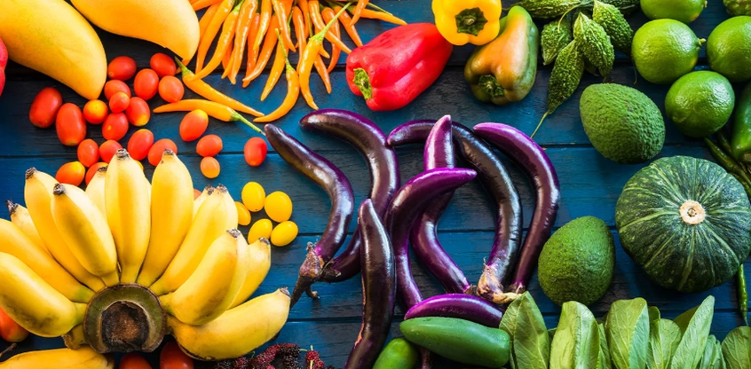 Ducan dietary products